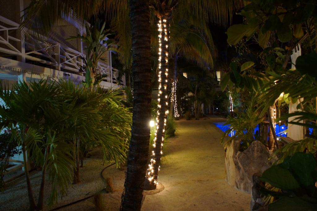 Caribbean Paradise Inn Grace Bay Exterior foto